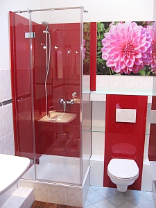 Ganzglasdusche mit Wand-WC mit Glashintergrund